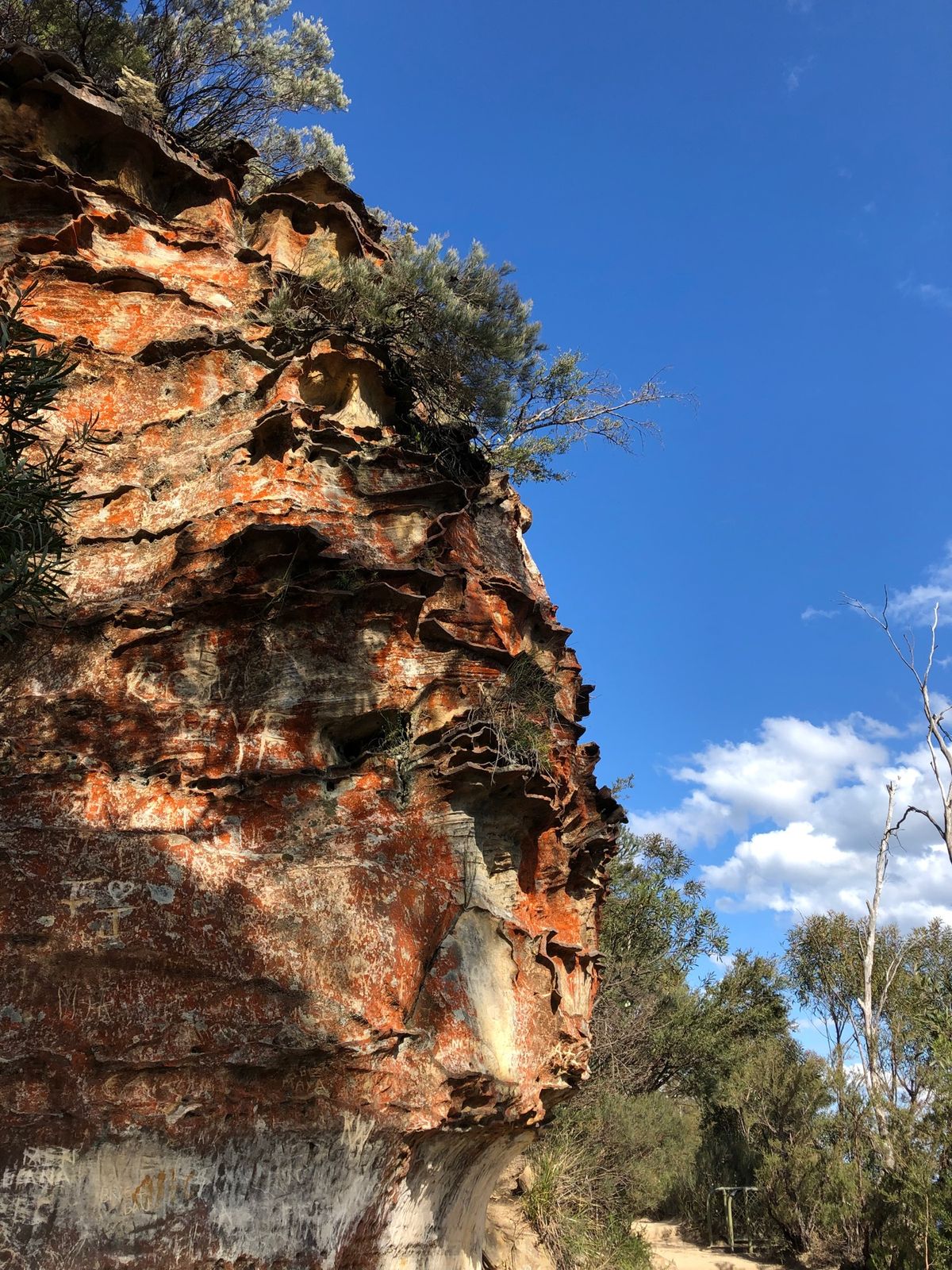 Blue Mountains National Park