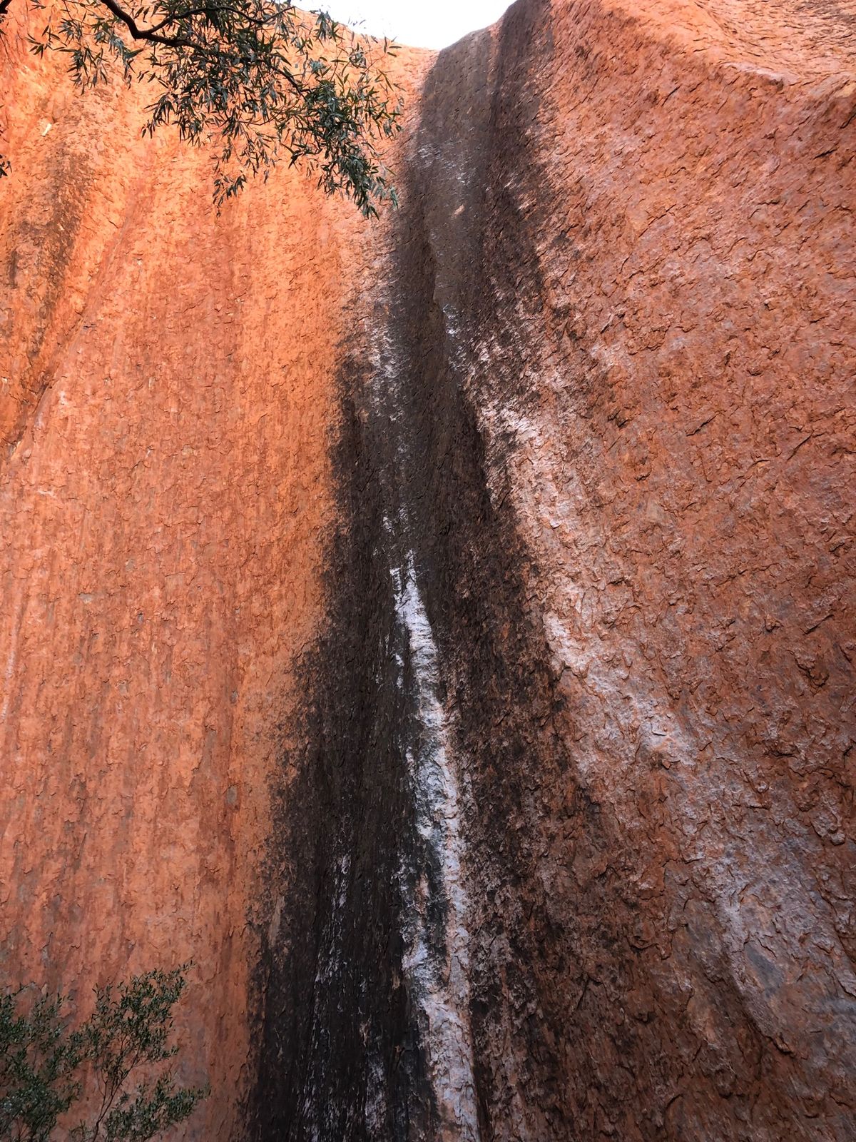 Uluru
