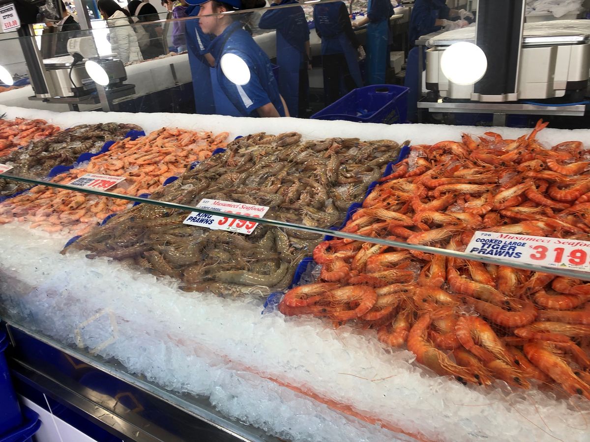 Sydney Fish Market🐟