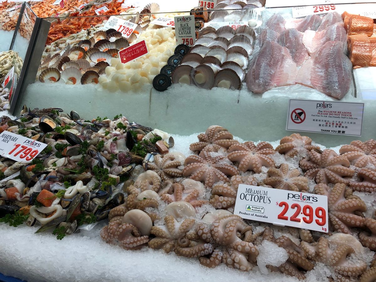 Sydney Fish Market🐟