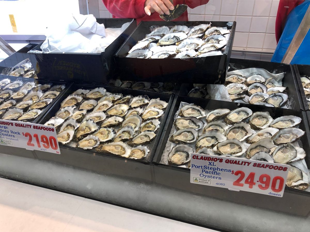 Sydney Fish Market🐟