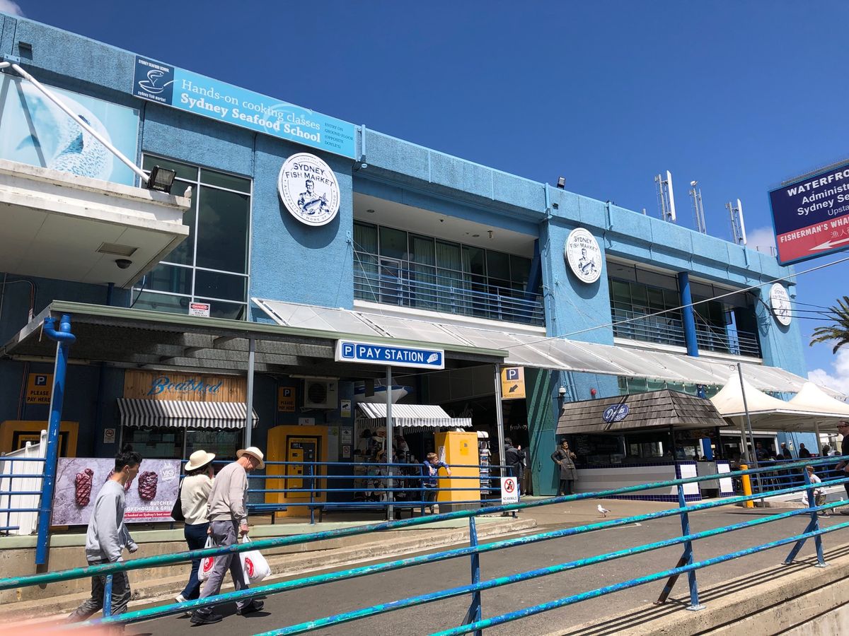 Sydney Fish Market🐟