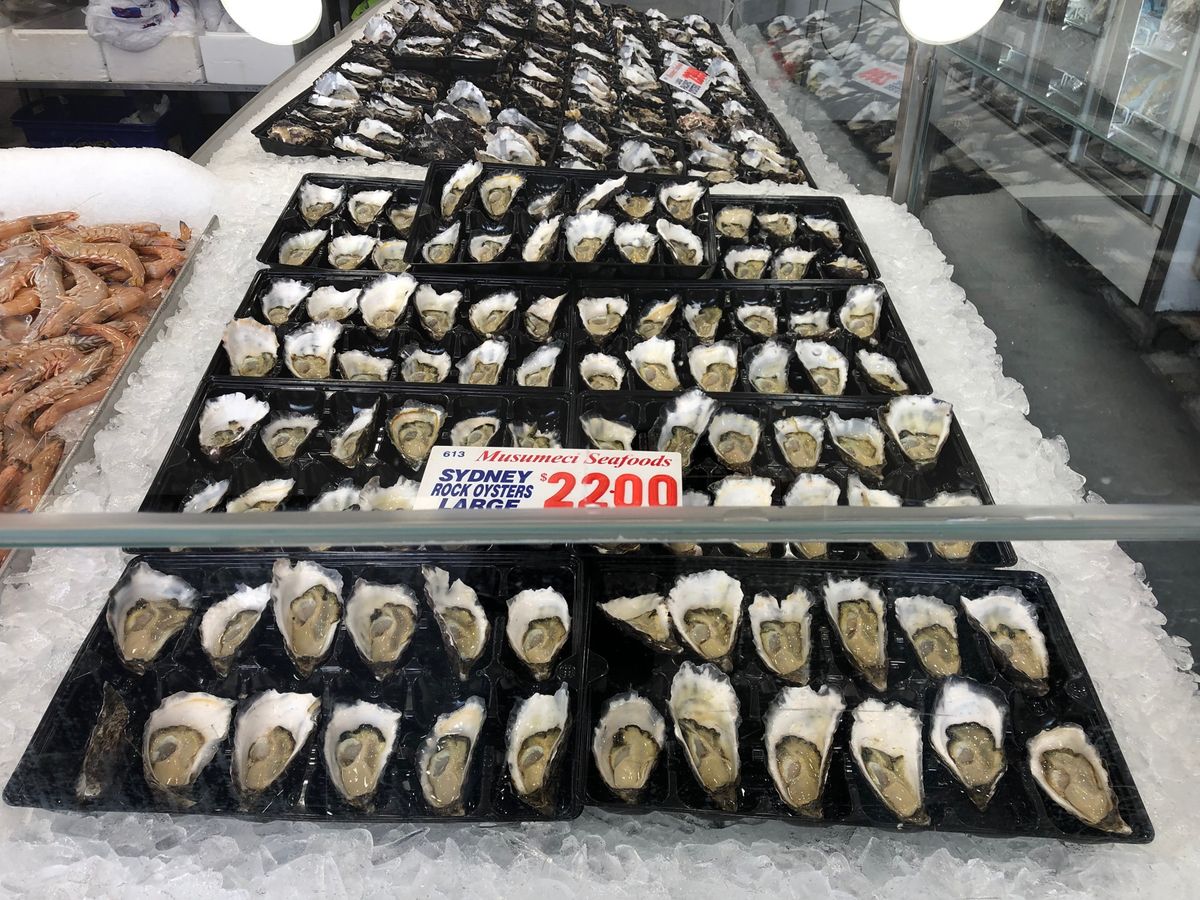 Sydney Fish Market🐟