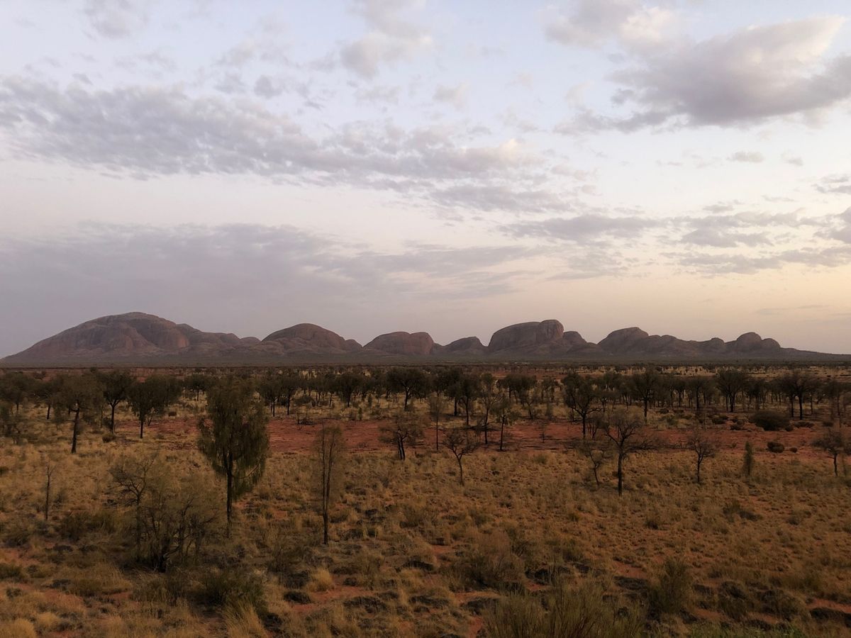 Uluru / Kata Tjuta sunrise🌄