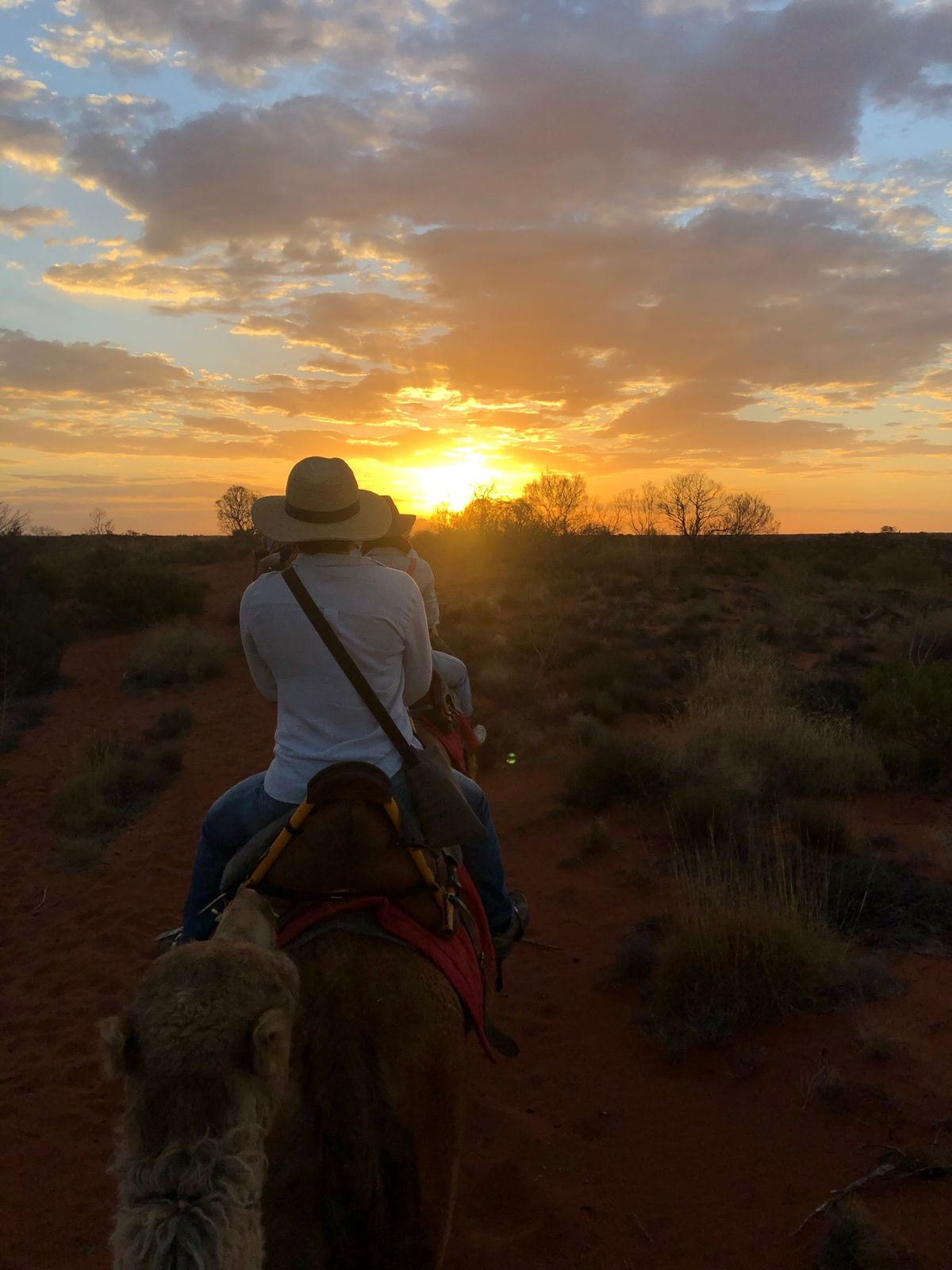 Uluru sunset🌄