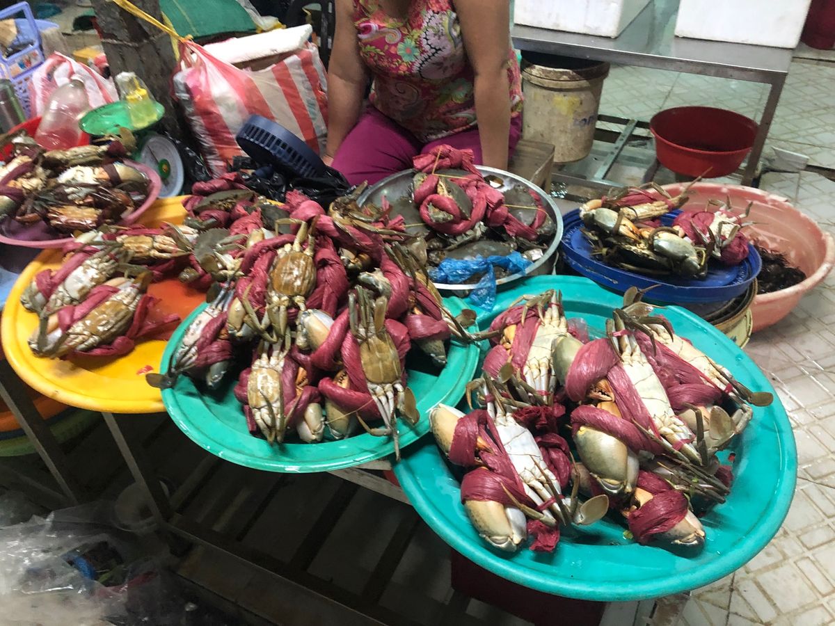 ハン市場(Da Nang)は匂いも強烈でカオスすぎたけど、ネタの宝庫です笑