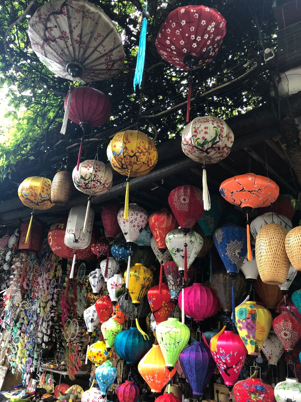 昼のHoi An🇻🇳
