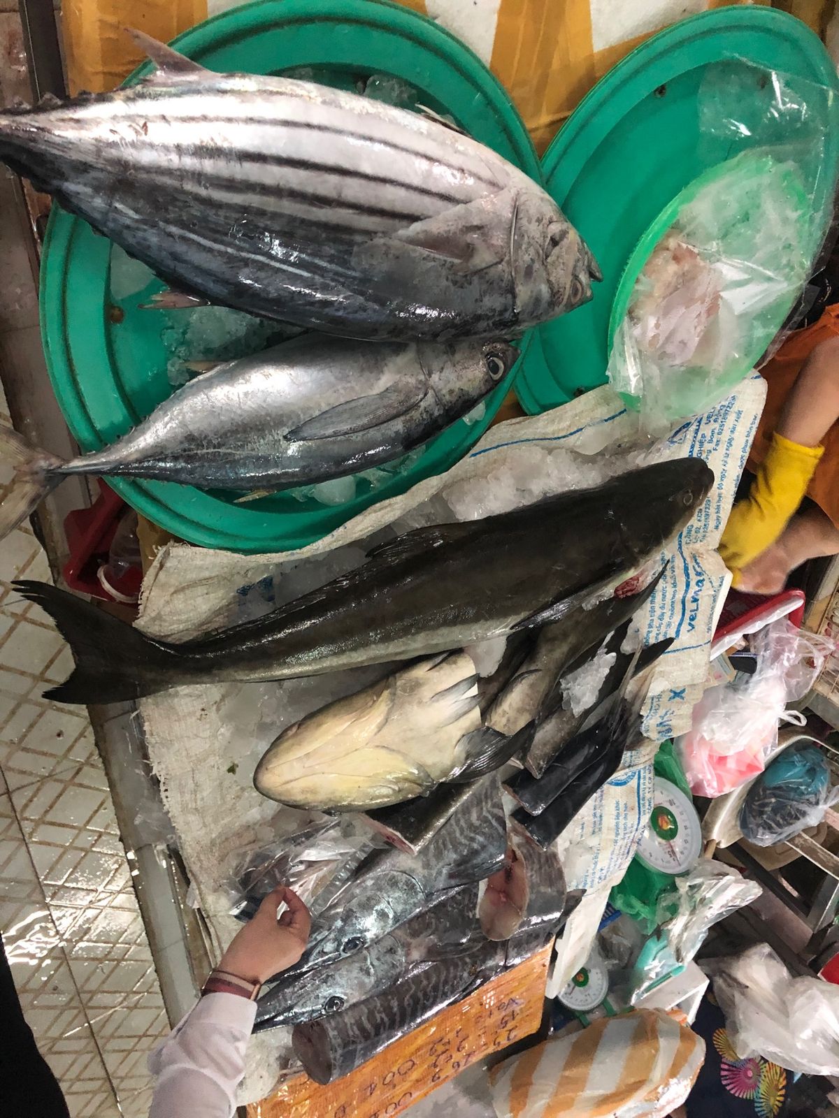 ハン市場(Da Nang)は匂いも強烈でカオスすぎたけど、ネタの宝庫です笑