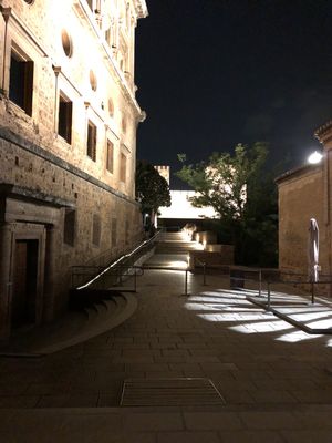 Alhambra palace(Granada🇪🇸)
ナスル朝宮殿は夜チケ...