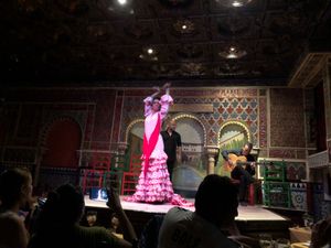 IbizaからMadridへ最後の国内移動✈️
スペイン最後の夜は、フラメ...