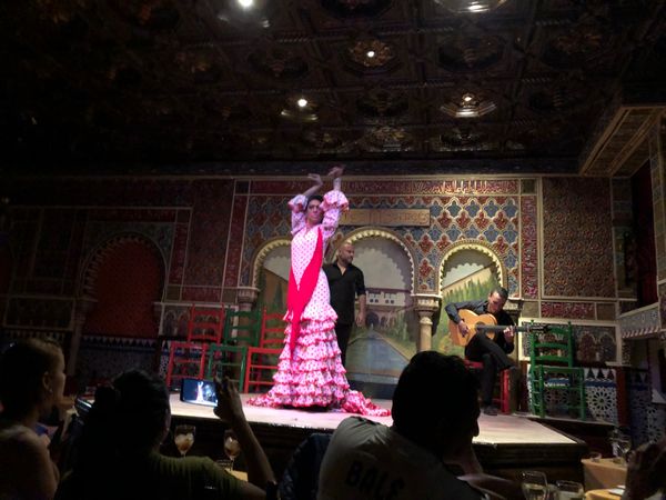 スペイン・バルセロナ「Spain周遊, 半分一人旅」の写真：IbizaからMadridへ最後の国内移...