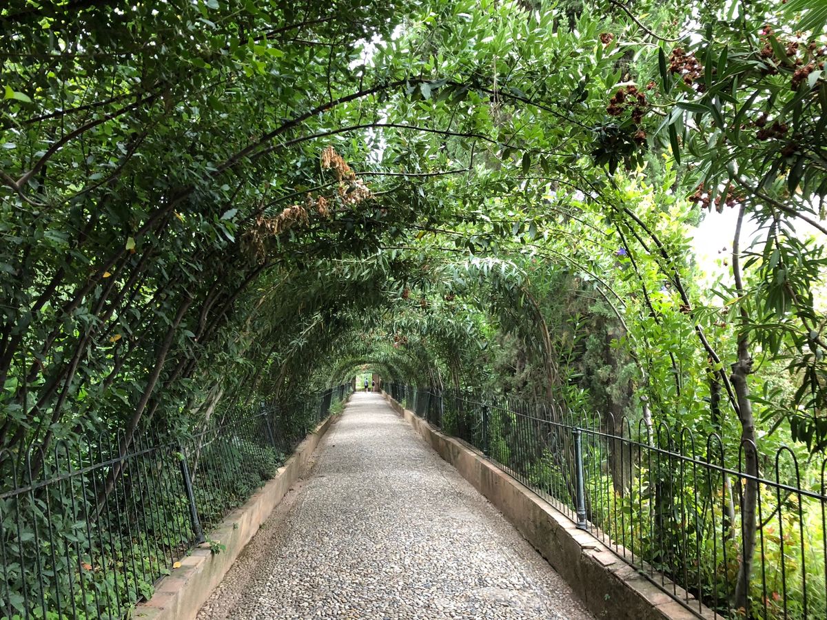 Alhambra palace(Granada🇪🇸)
朝からヘネラリフェ(...