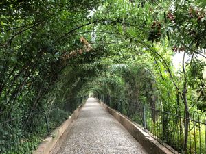 Alhambra palace(Granada🇪🇸)
朝からヘネラリフェ(...