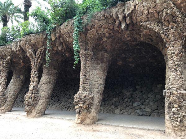 スペイン・バルセロナ「Spain周遊, 半分一人旅」の写真：友人とPARK GUELLで待ち合わせ🦎🇪🇸