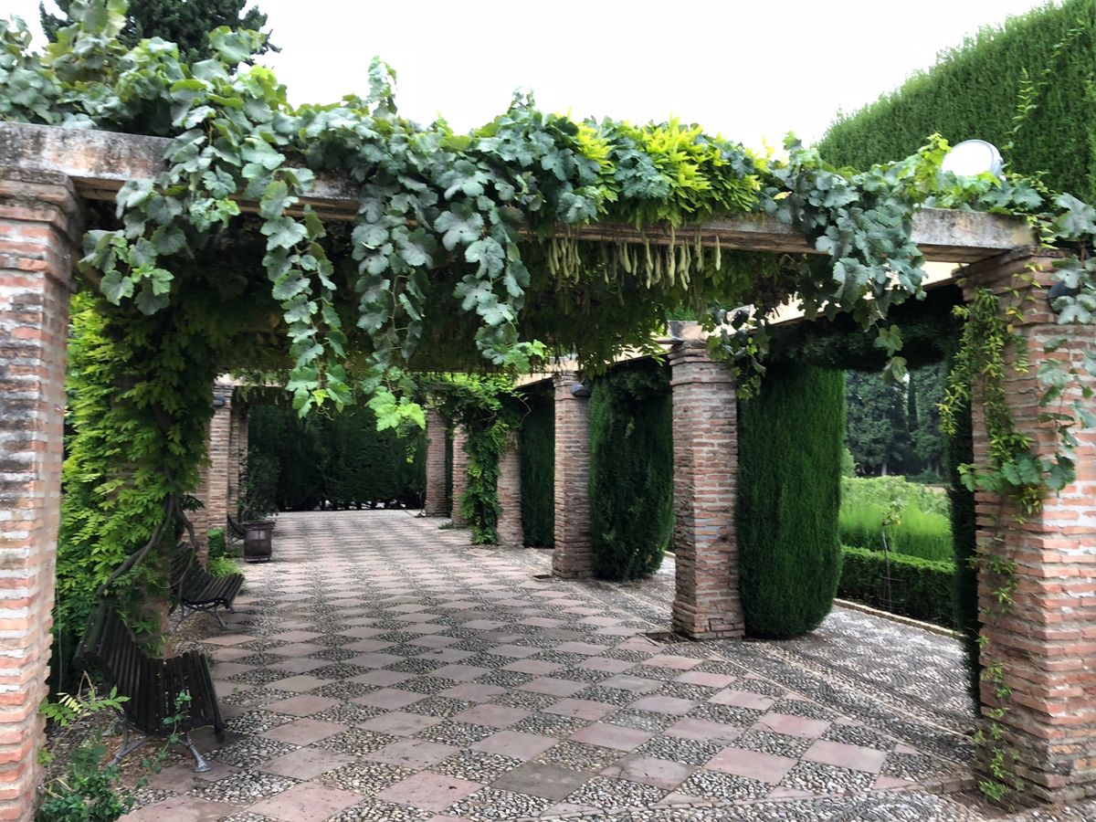 Alhambra palace(Granada🇪🇸)
朝からヘネラリフェ(...