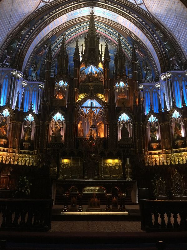 カナダ・トロント「Canada, HOMESTAY」の写真：Canada🇨🇦