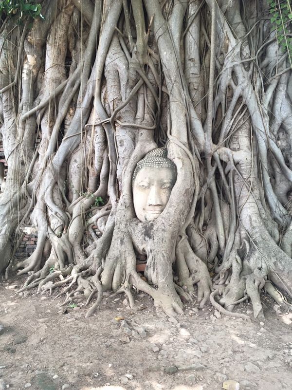 タイ・バンコク「Thailand」の写真