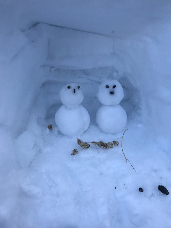 日本・長岡「新潟への旅行」の写真
