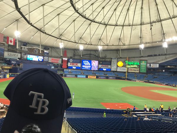 アメリカ(米国)・フロリダ「フロリダへの旅行」の写真