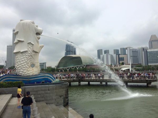 シンガポール・シンガポール「シンガポールへの旅行」の写真