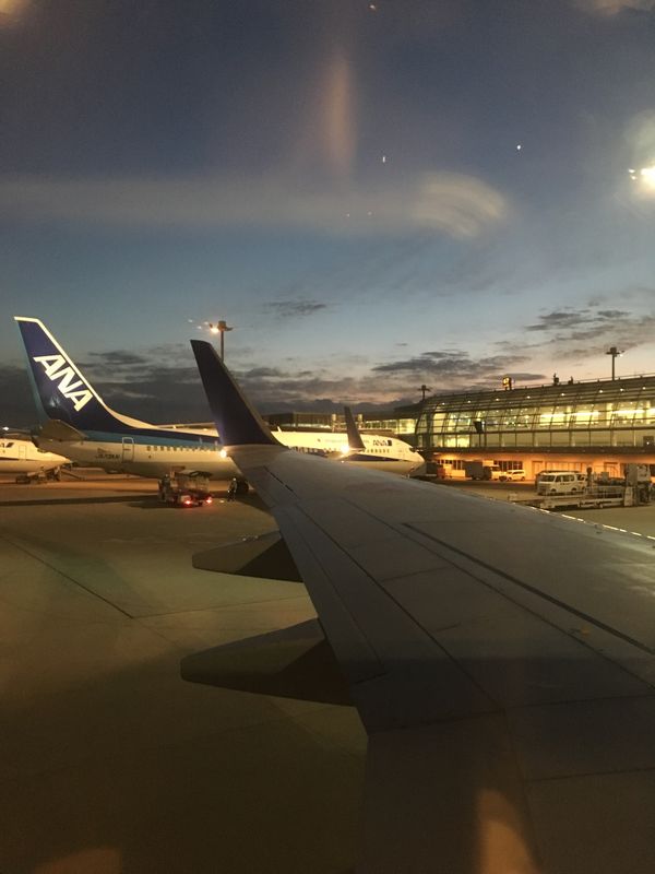 日本・沖縄県「学会発表@沖縄」の写真：前乗りして沖縄1人観光！
琉球村@那覇空...