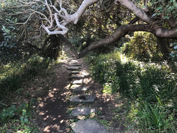 日本・福井県「北陸一人旅2020②」の写真：雄島