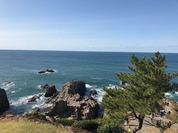 日本・福井県「北陸一人旅2020②」の写真：東尋坊