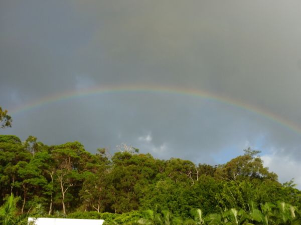 オーストラリア連邦・ゴールドコースト「初の海外旅行」の写真：オーストラリア🐨