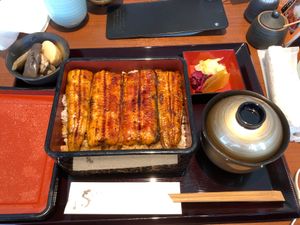 桜にメジロが♪
うなぎ美味しかった、大好きです💕