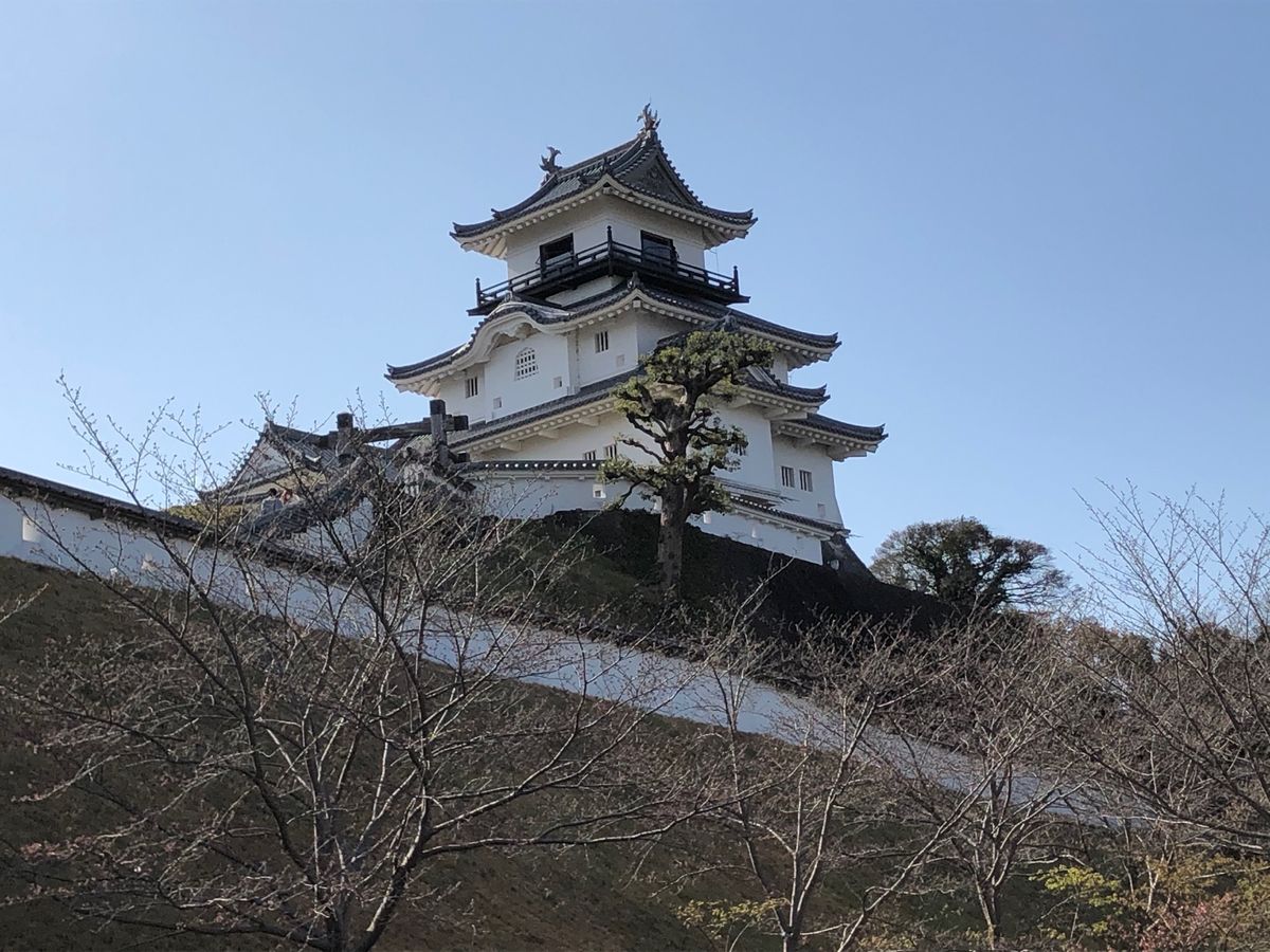 桜にメジロが♪
うなぎ美味しかった、大好きです💕