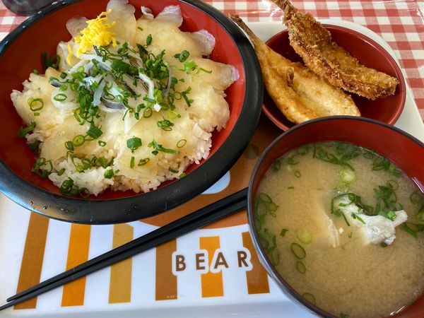 日本・山口県「山口県一人旅」の写真