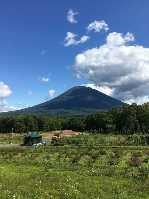 日本・北海道「北海道　添乗」の写真