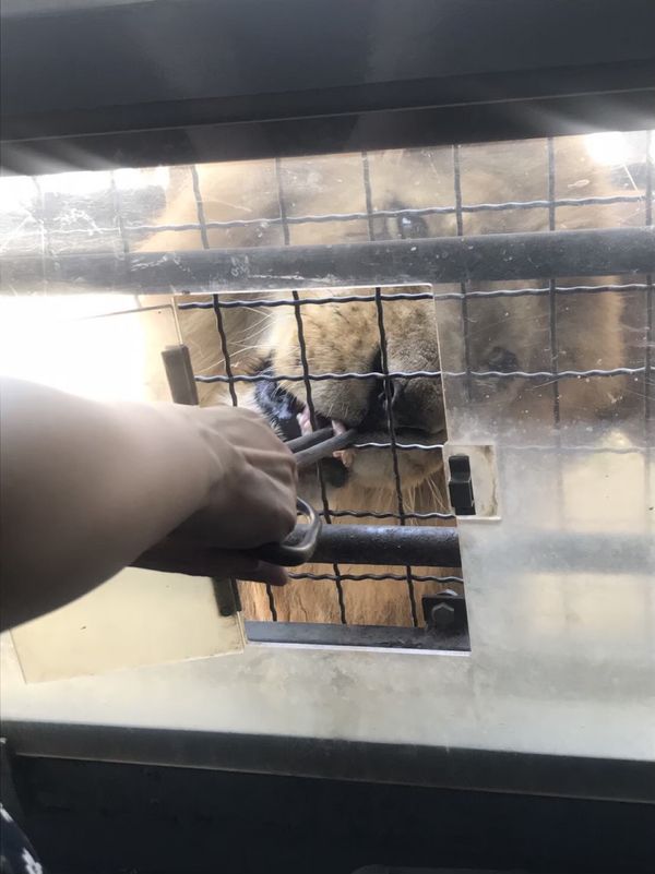 日本・群馬県「群馬への旅行」の写真