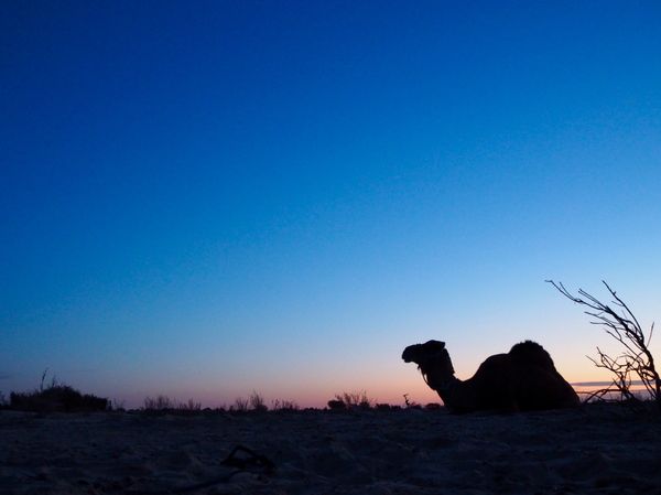 マルタ・コミノ島「チュニジア＆マルタ一人旅」の写真