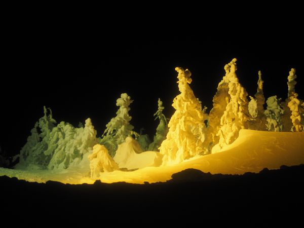 日本・山形県「樹氷を見たくて蔵王へ」の写真