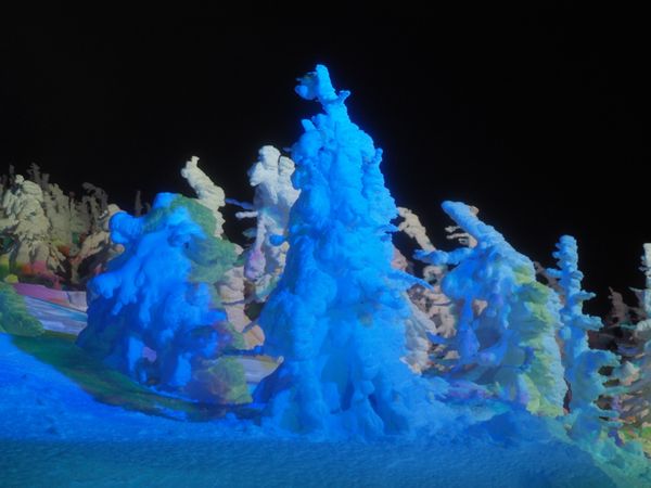 日本・山形県「樹氷を見たくて蔵王へ」の写真