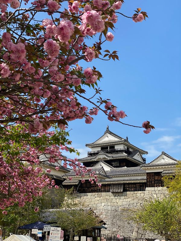 日本・道後温泉「愛媛2021.04」の写真