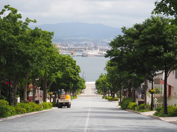 日本・函館「JALどこかにマイルで函館へ」の写真