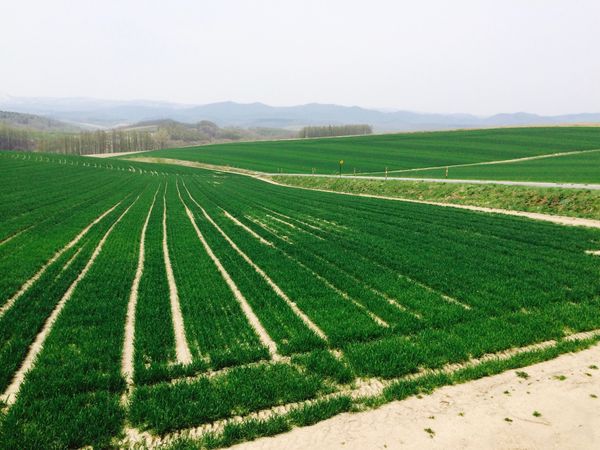 日本・北海道「北の国から」の写真