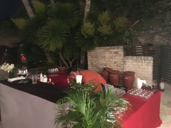 フィリピン・セブ島「セブ」の写真