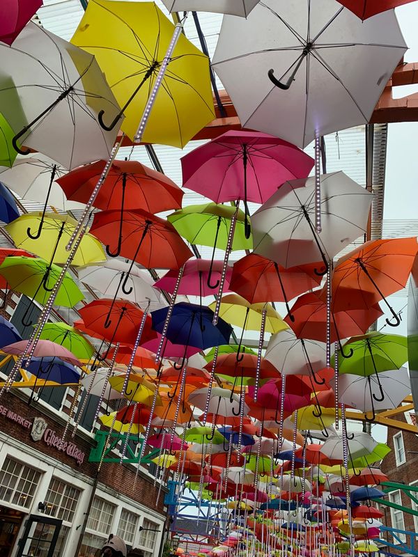 日本・長崎県「ハウステンボス」の写真