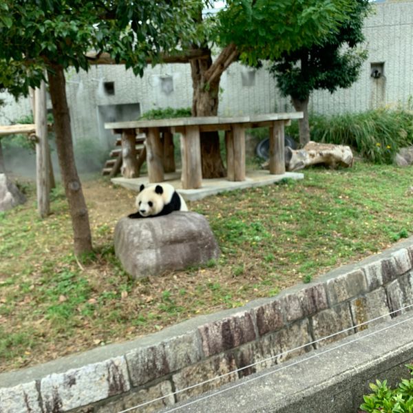 日本・兵庫県「神戸」の写真