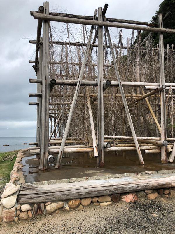 日本・福岡県「福岡」の写真