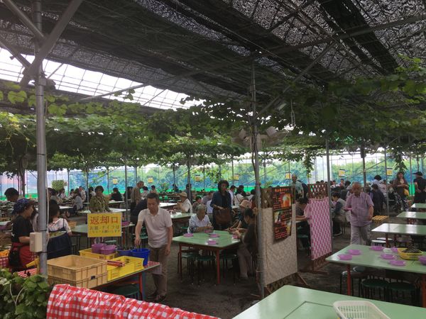 日本・山梨県「山梨」の写真