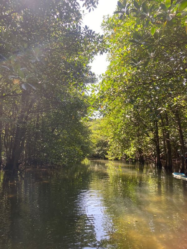 日本・沖縄県「GW 西表島4泊5日」の写真