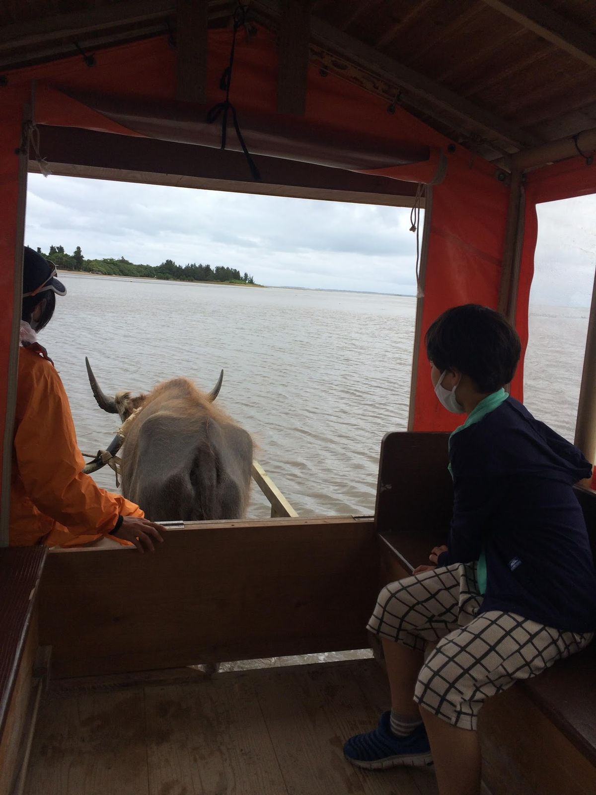 1日目
✈️羽田-石垣　⛴大原　🐂由布島