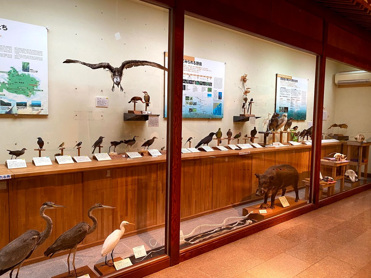 5日目
こんなにも帰りたくないと思った旅行は久しぶり
人生でもう一度訪れた...