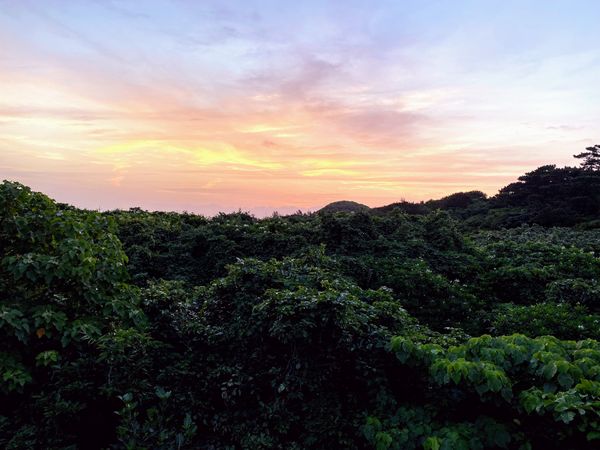 日本・沖縄県「GW 西表島4泊5日」の写真：5日目
こんなにも帰りたくないと思った旅...