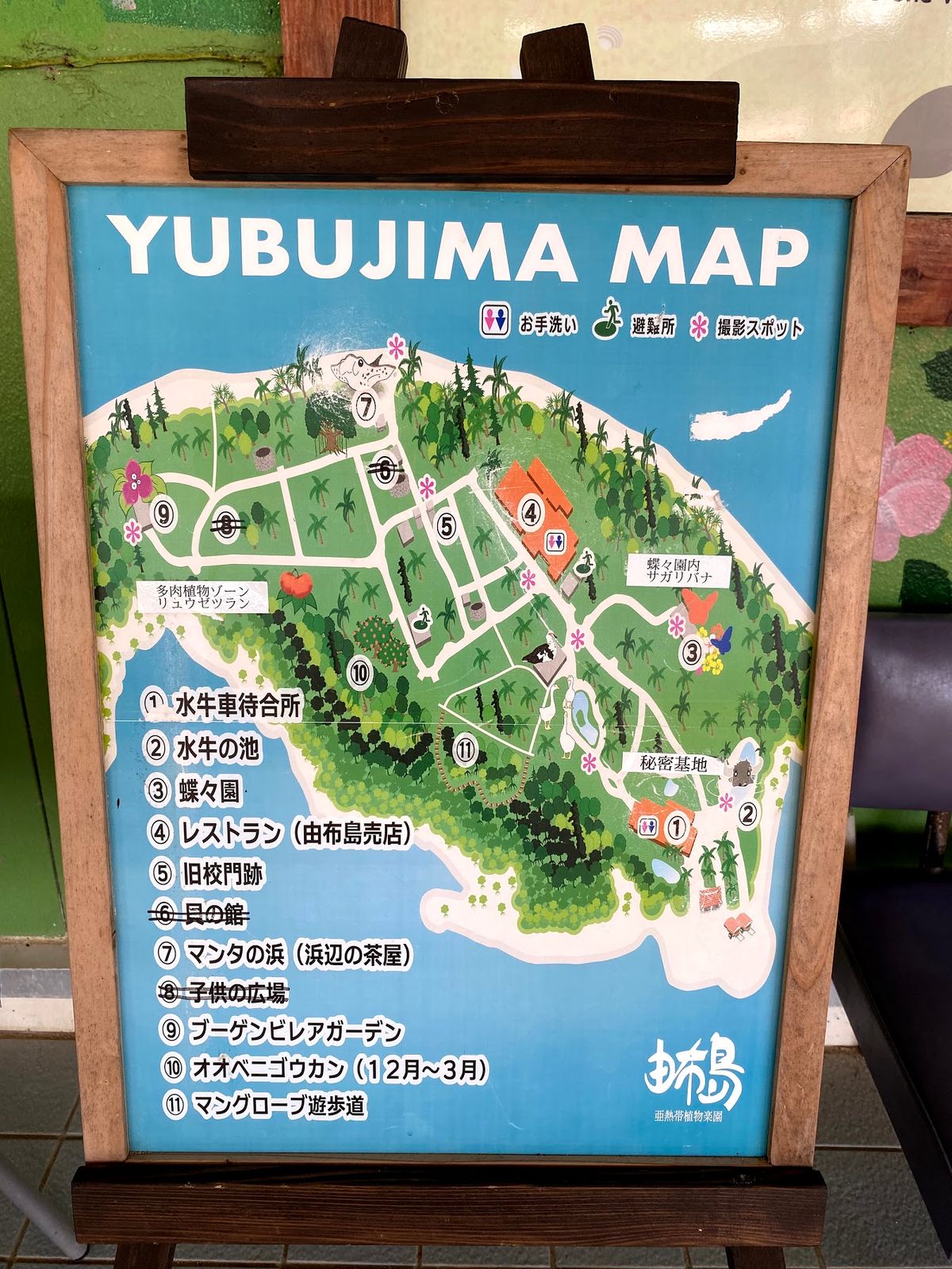 1日目
✈️羽田-石垣　⛴大原　🐂由布島