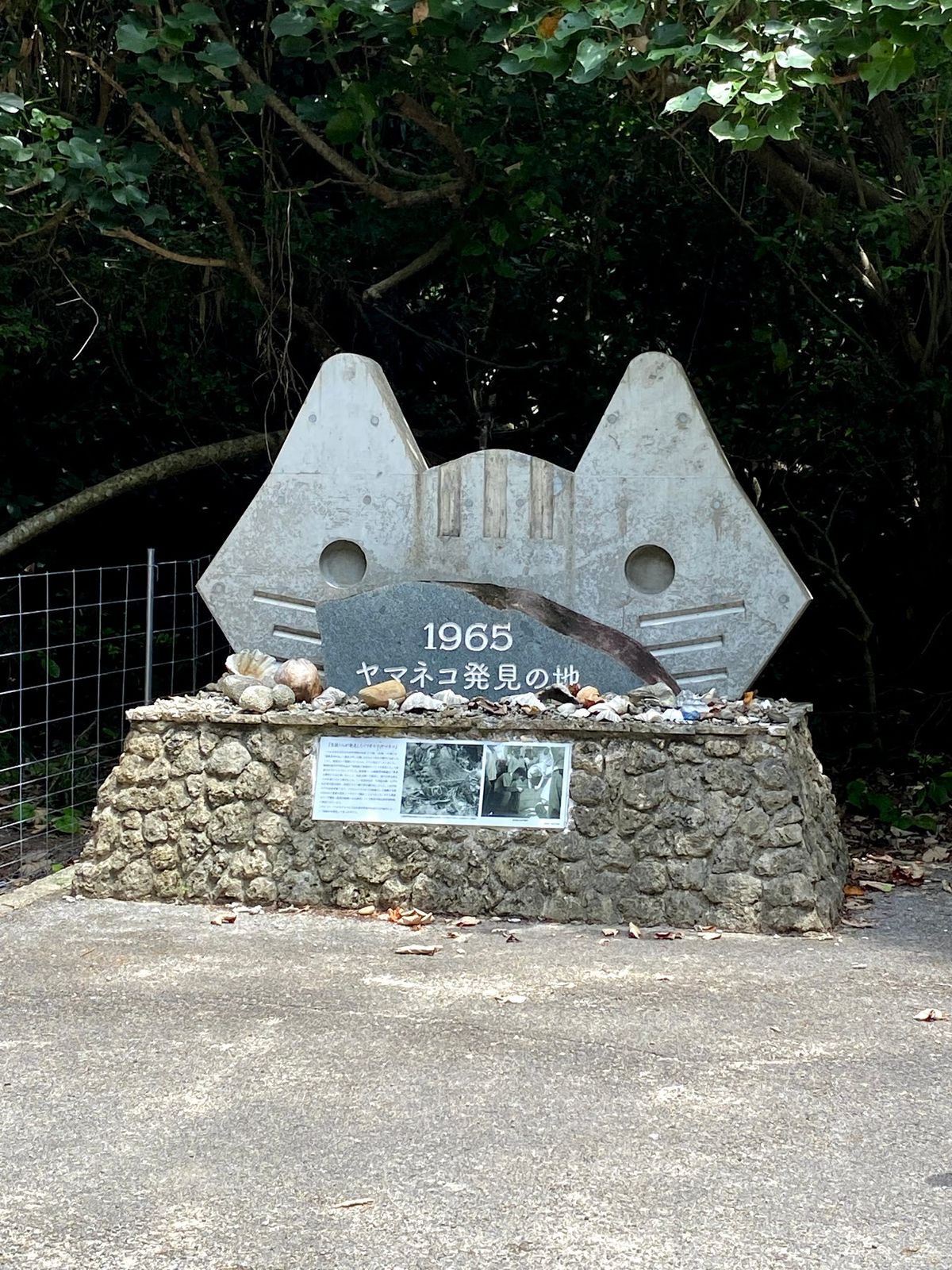 5日目
こんなにも帰りたくないと思った旅行は久しぶり
人生でもう一度訪れた...